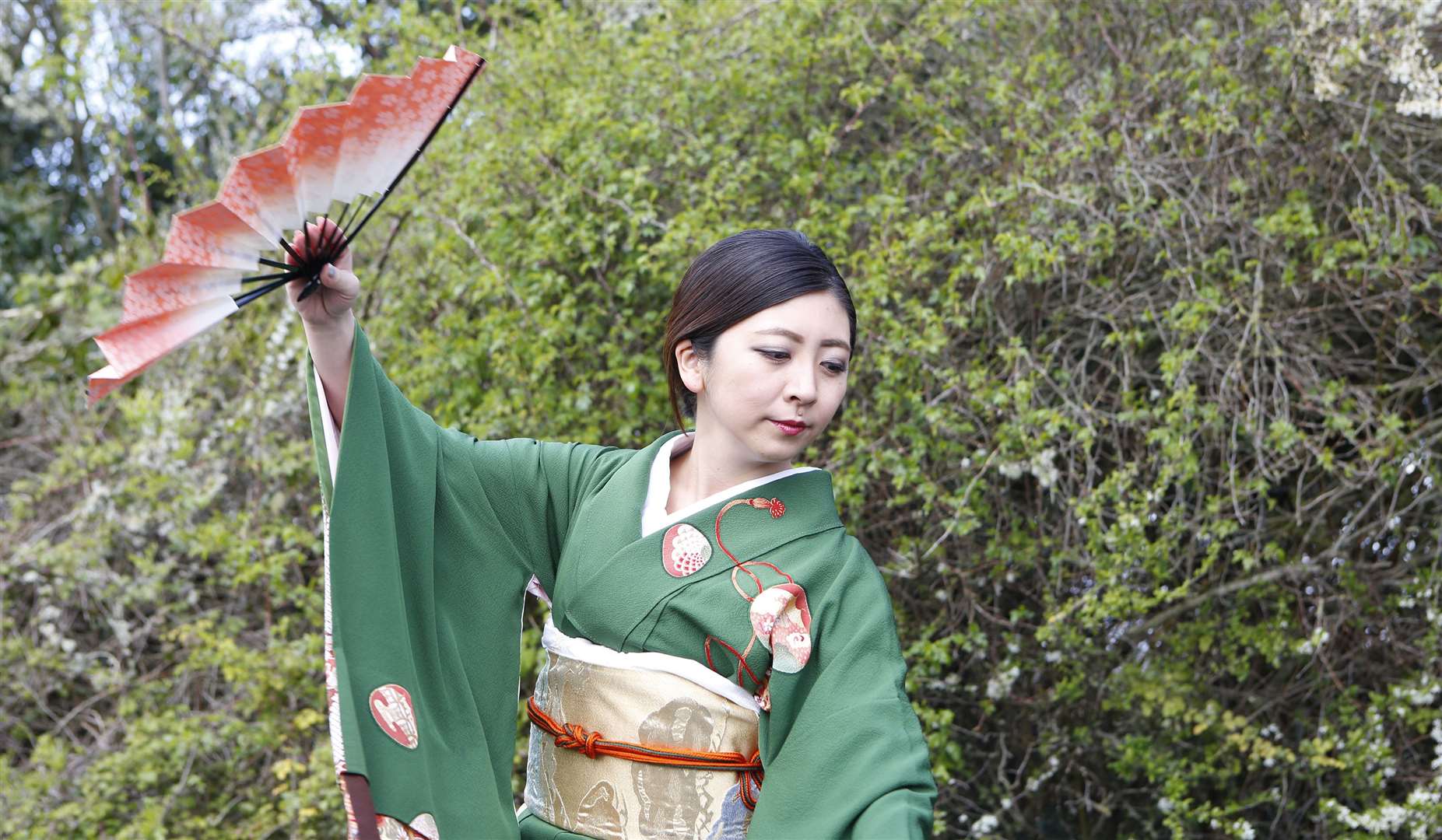 The Hanami festival will be back at Brogdale in Faversham Picture: Andy Jones