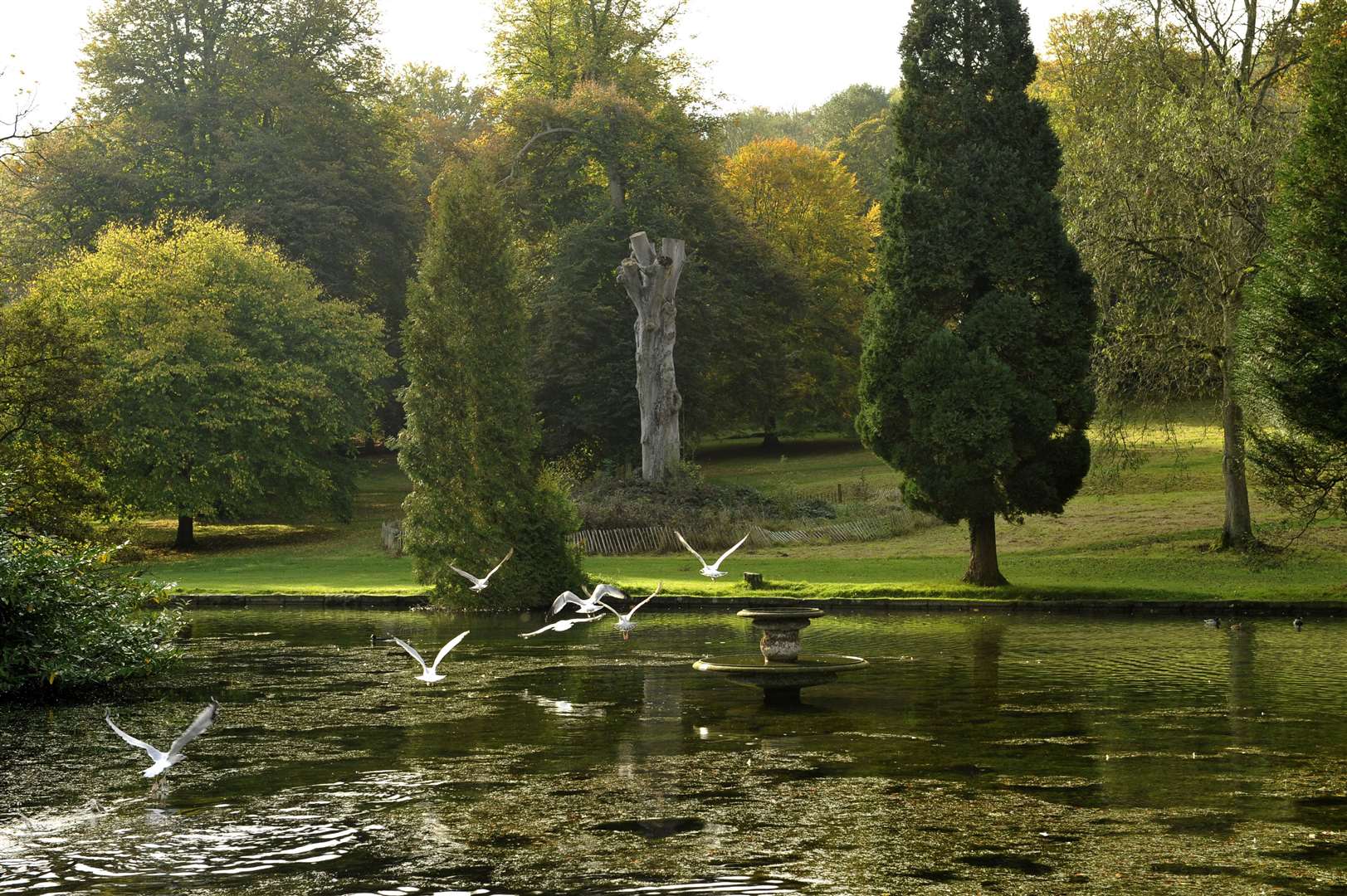 General scene of Kearsney Abbey.Picture: Tony Flashman