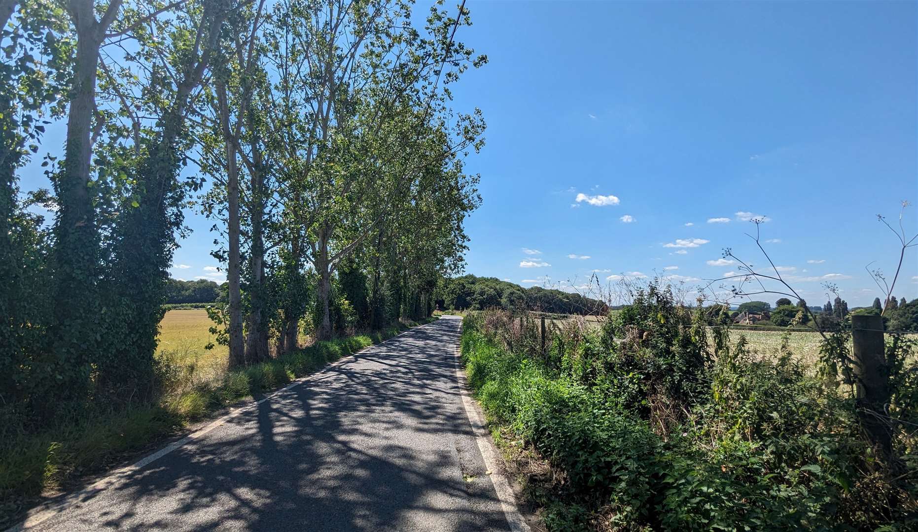 Trees throwing shade across the road back towards Teynham