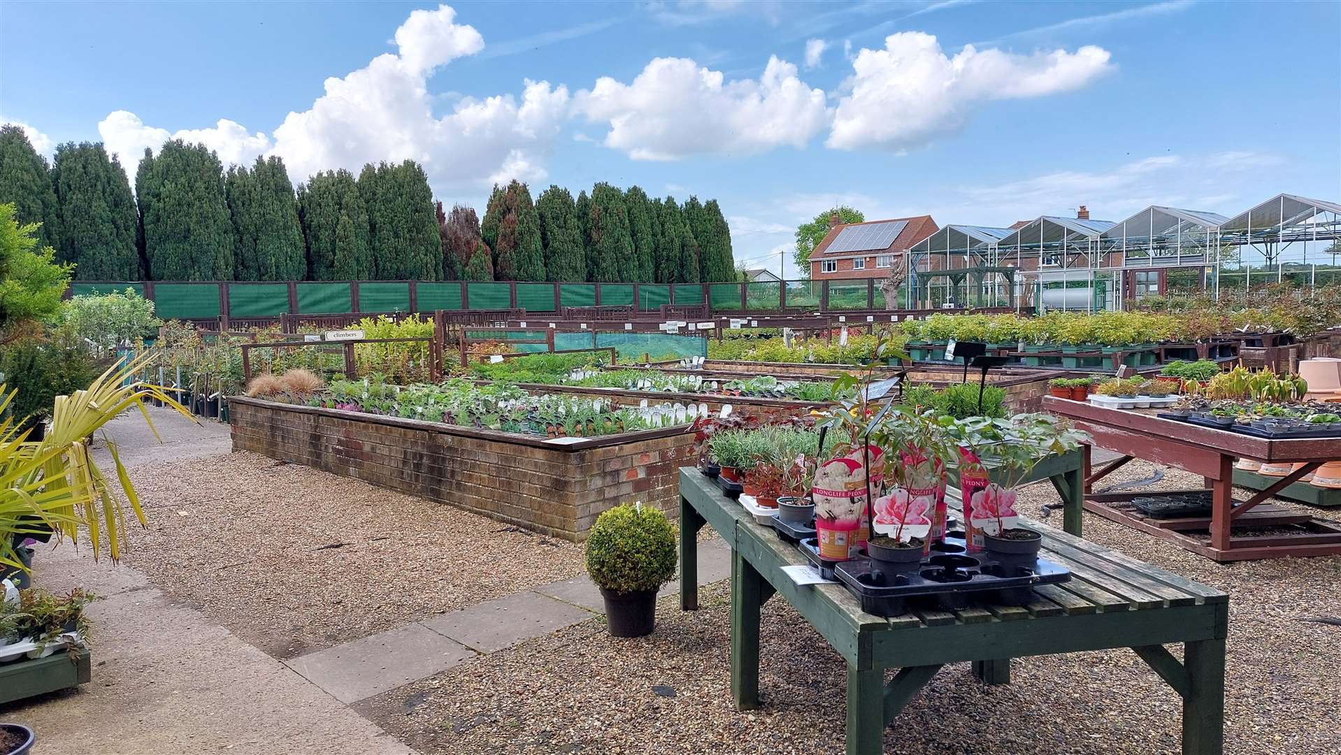 The garden centre in Staple specialises in growing roses