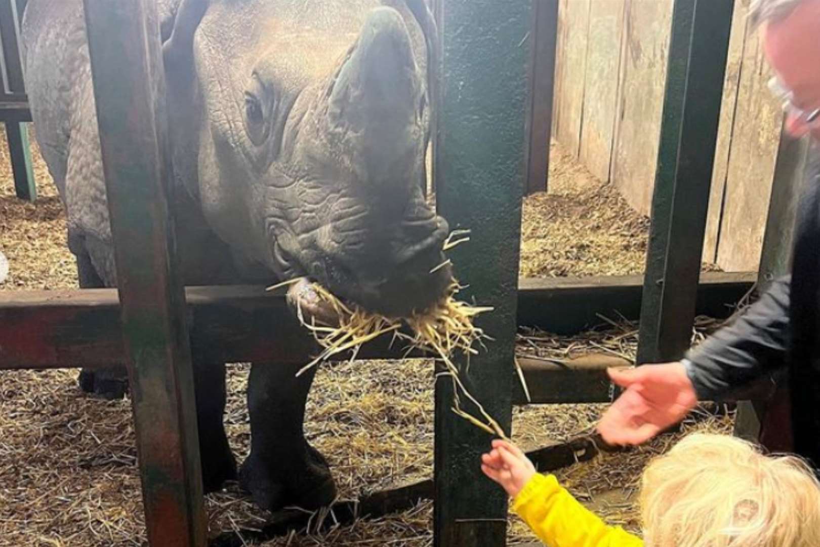 The family have also been seen at Howletts in Canterbury. Picture: Carrie Johnson on Instagram