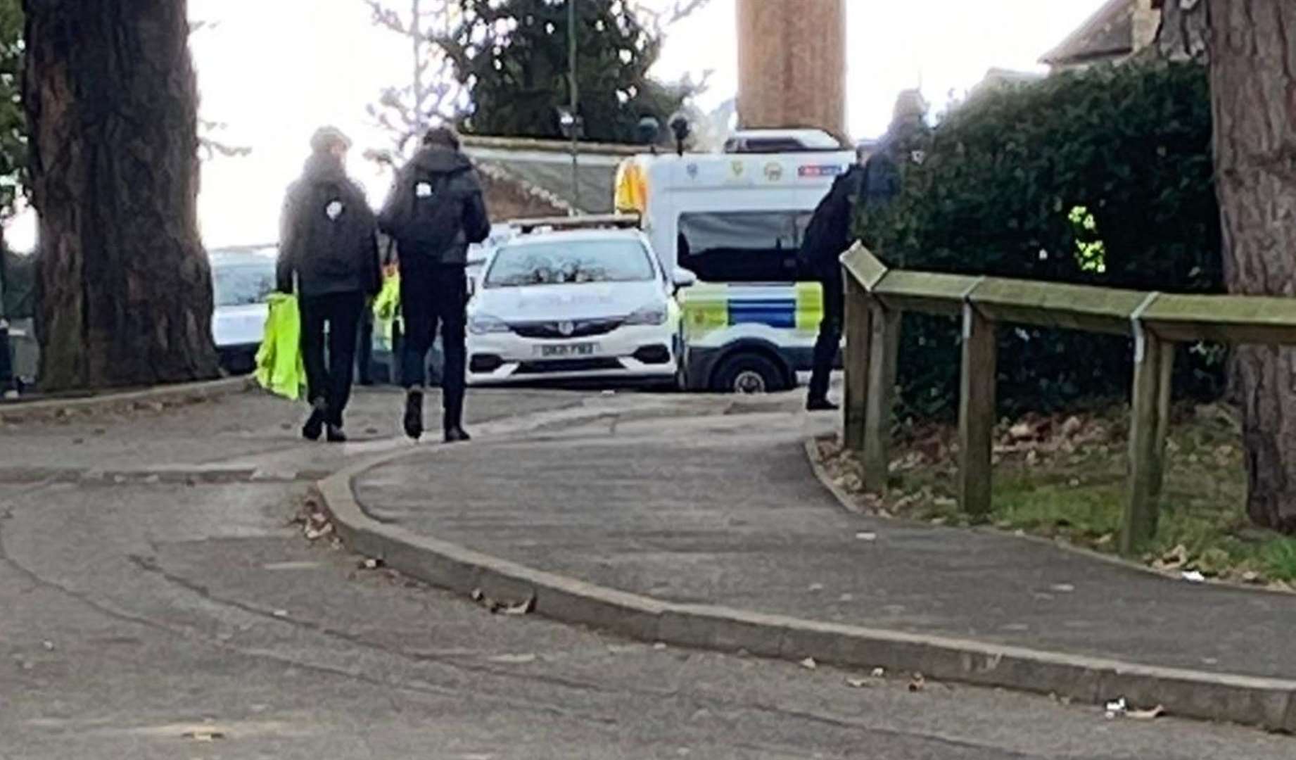 Police were called to Homewood in February after pupils staged a protest