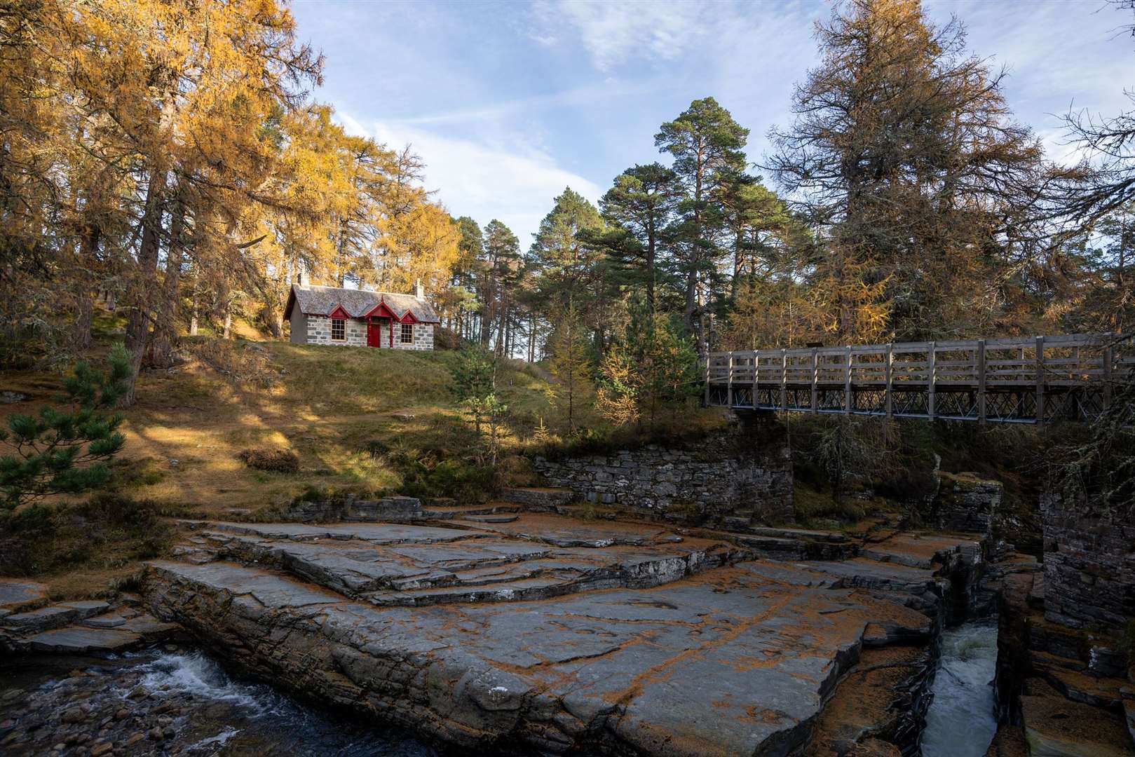 The cottage sits in woodland next to a stream (Ben Addy/ Moxon Architects/PA)