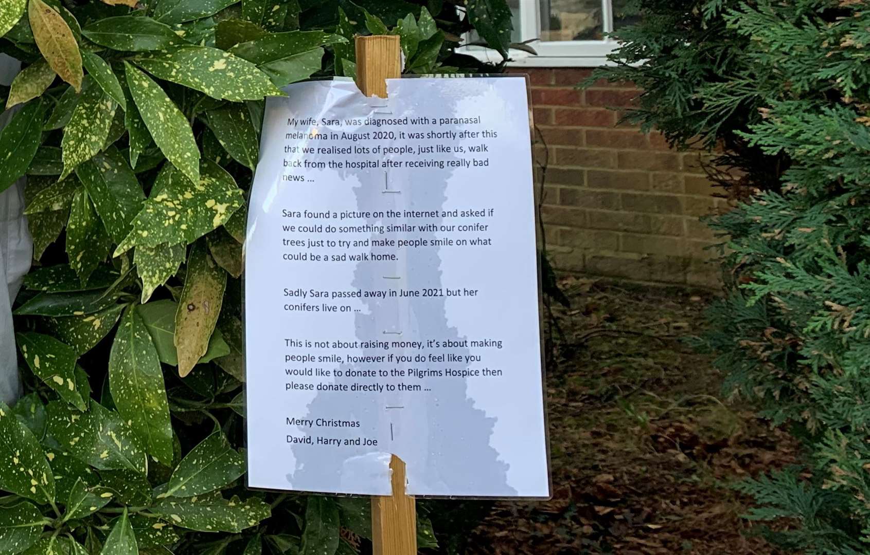 Decorating trees in Canterbury was Sara's idea after she was diagnosed with cancer