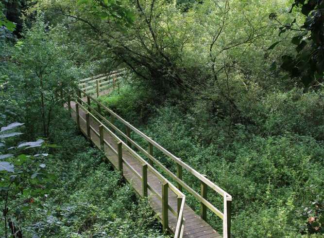 Berengrave Nature Reserve, Rainham