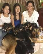 PUPPY LOVE: Cassandra Wood, Teri and Ruth Davies with Coke and the new additions to the family. Picture: CHRIS DAVEY