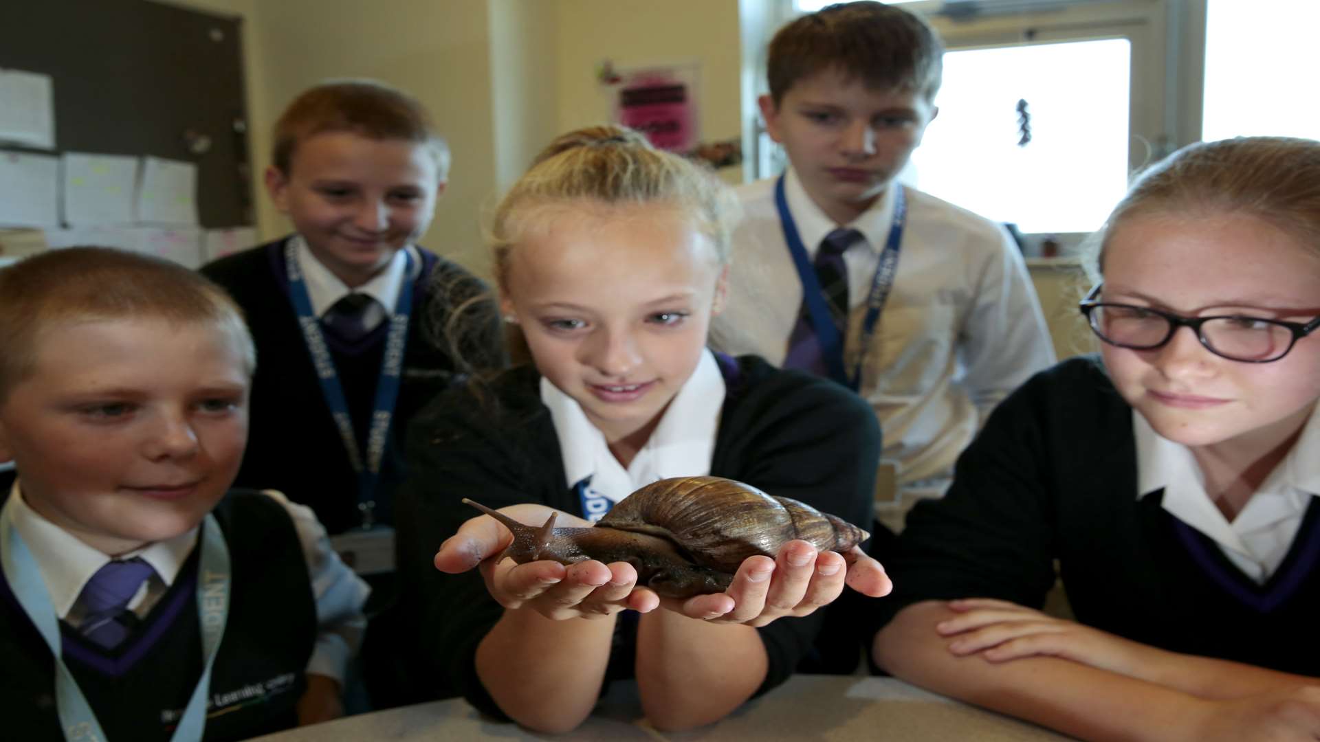 A giant African land snail made itself pregnant and has given birth to 81 eggs.