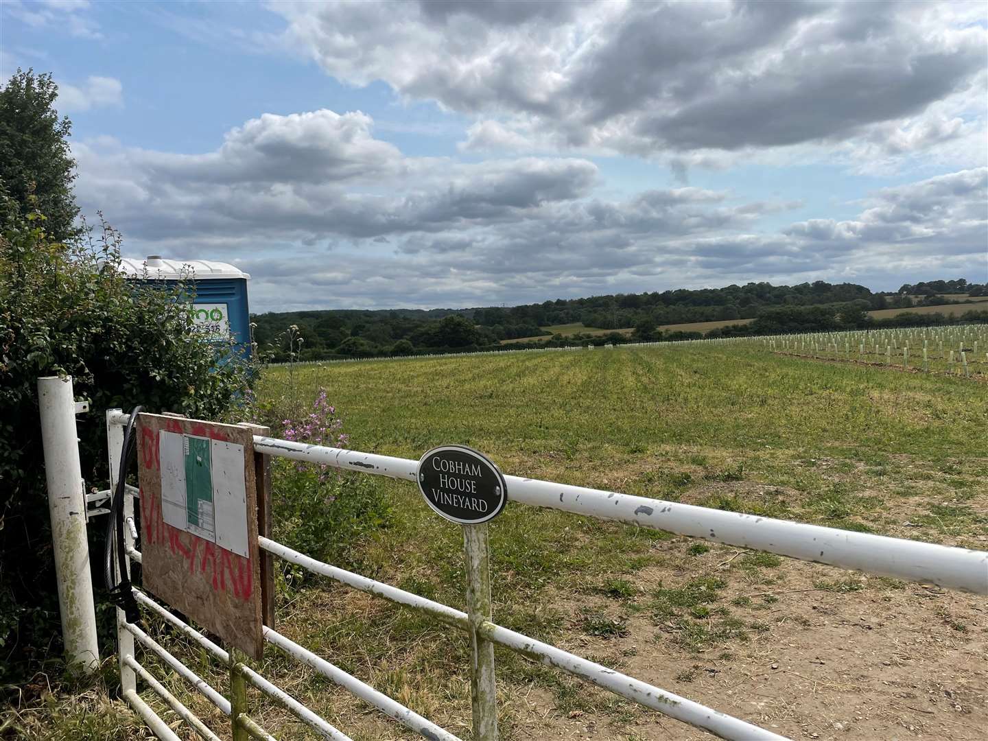 Residents think the winery would be best placed to the south of the vineyard