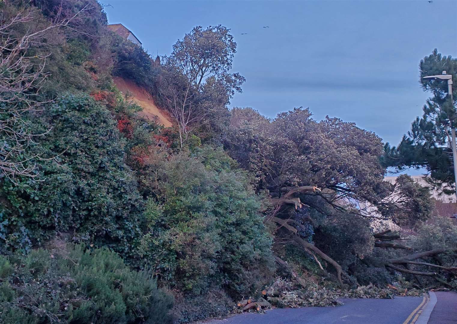 The Road of Remembrance in Folkestone has been blocked by a landslide and fallen trees. Picture: Michael Stainer