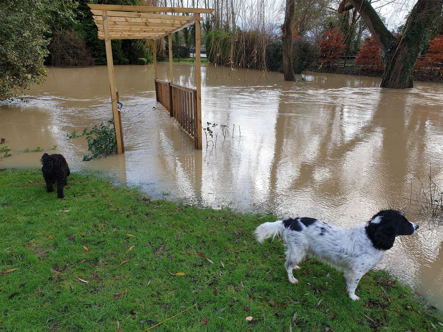 Flooding in Marden - Claire Dominic