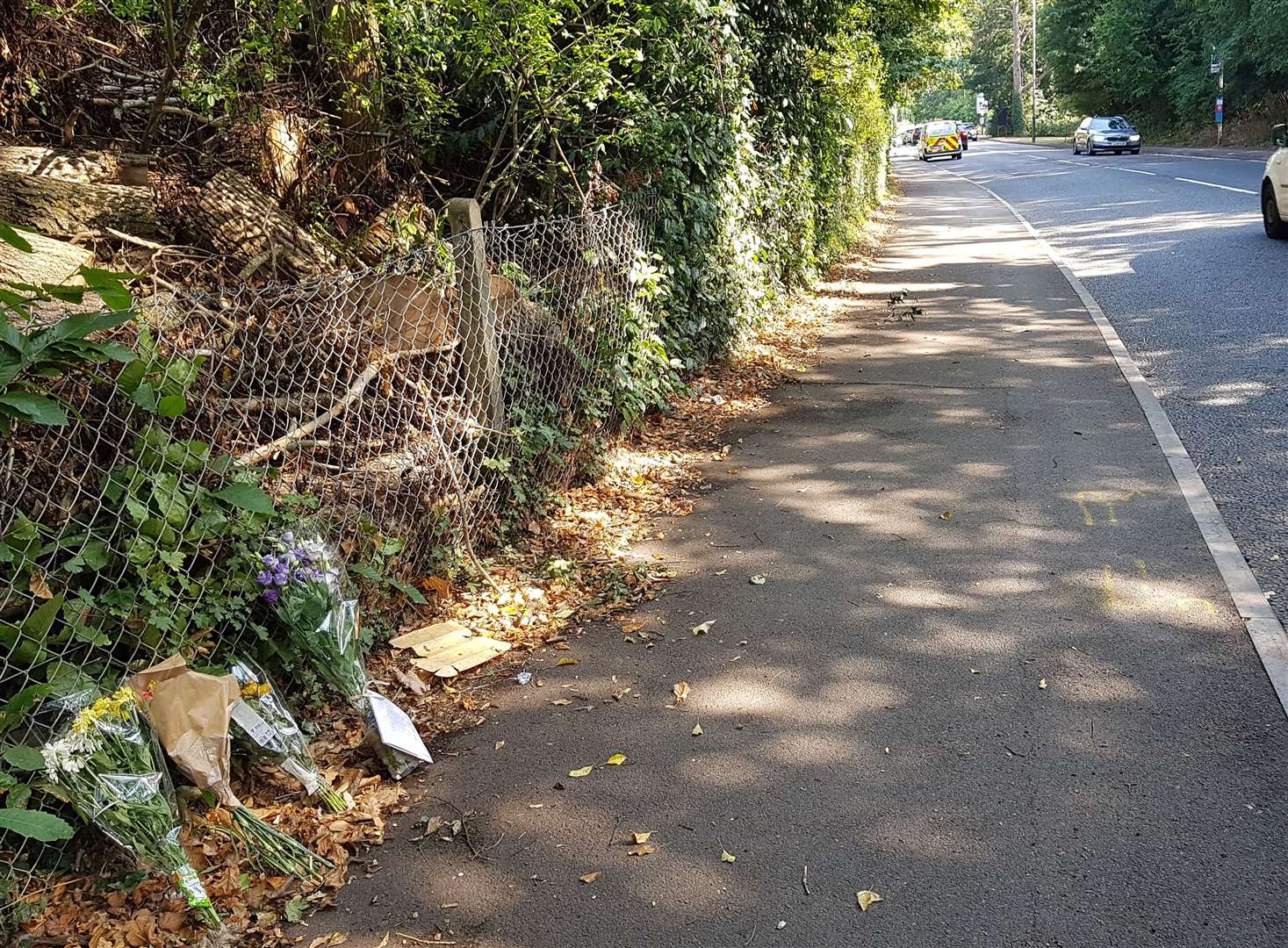 Floral tributes have been left at the spot where the dog walker died on Pembury Road in Tonbridge