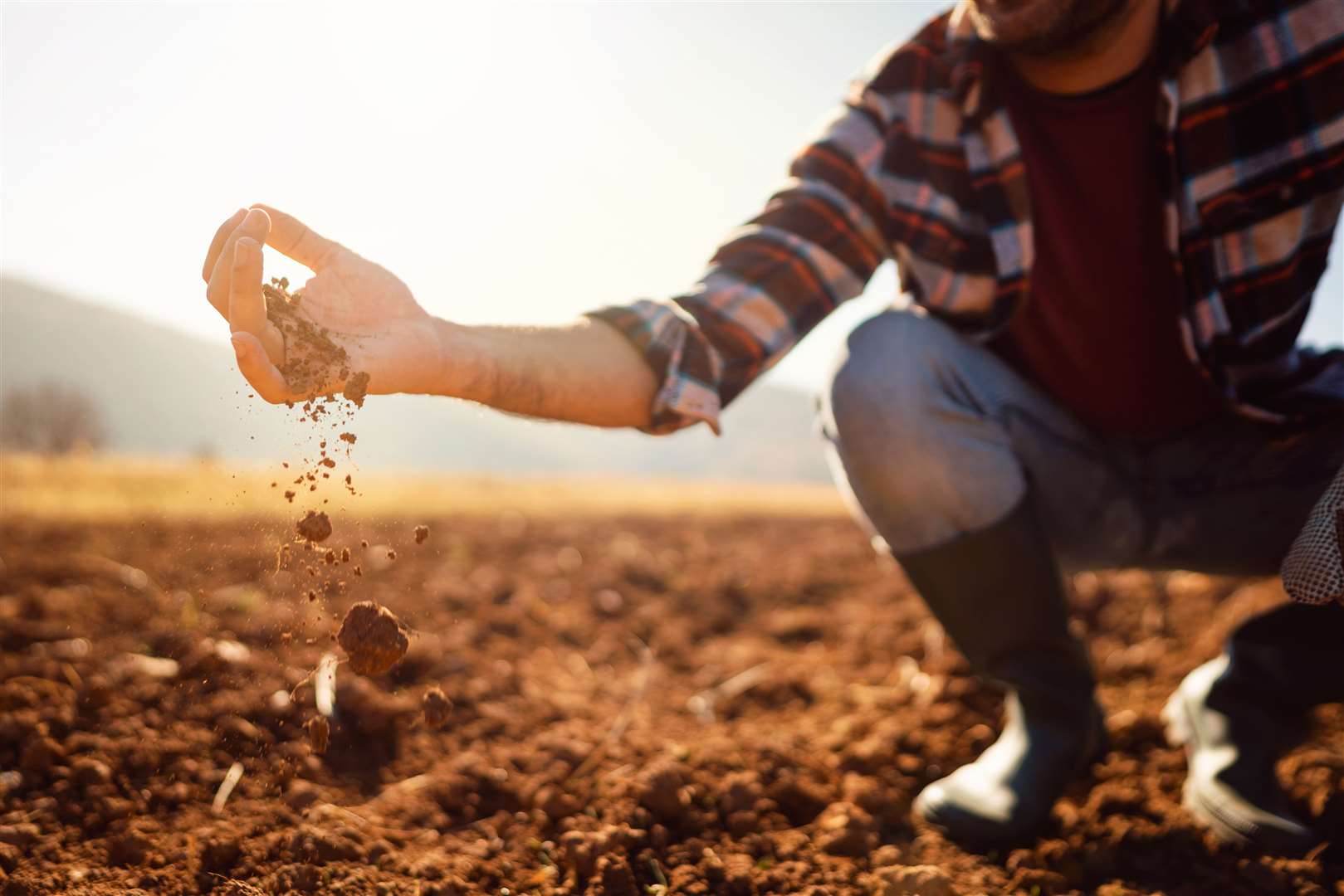 By 2060, a summer like last year will be the norm says a climate report. Image: iStock.