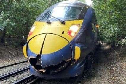 The damaged southeastern train after it hit a tree on the line. Picture: southeastern