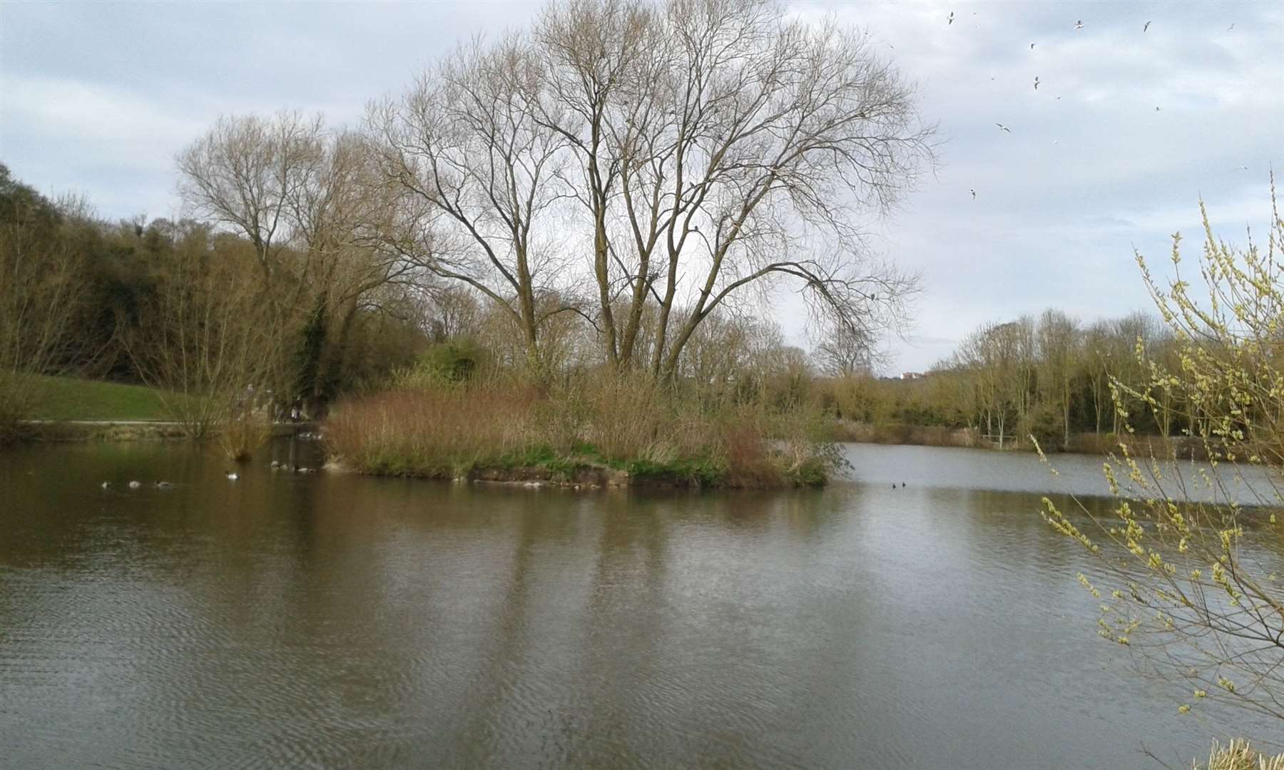 Beauty spot - Capstone Farm Country Park