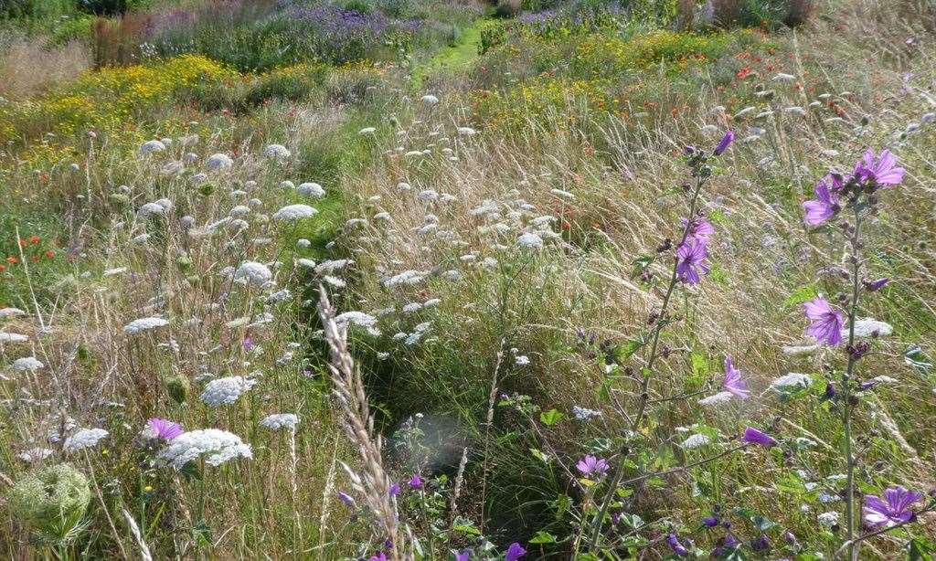 Pheasant Barn is also a stone’s throw from the Oare Marshes nature reserve. Picture: National Garden Scheme