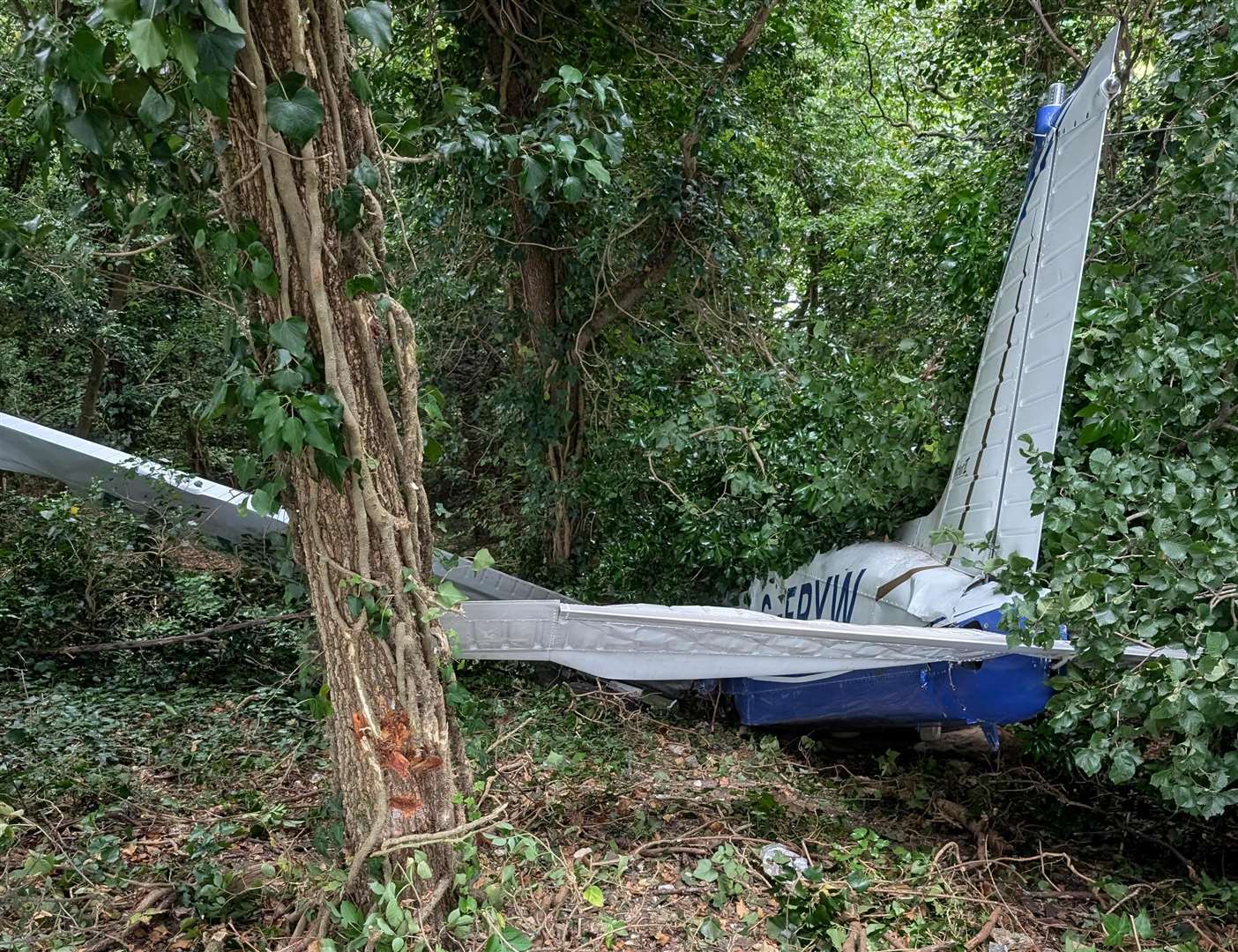 The Piper PA-28 came to a stop in some bushes. Picture: Ross Jarvis