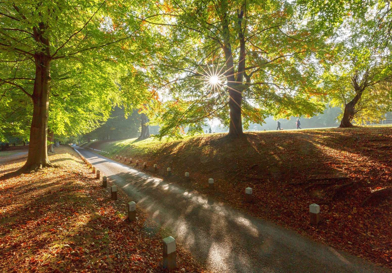 There is a network of tunnels beneath Mote Park in Maidstone