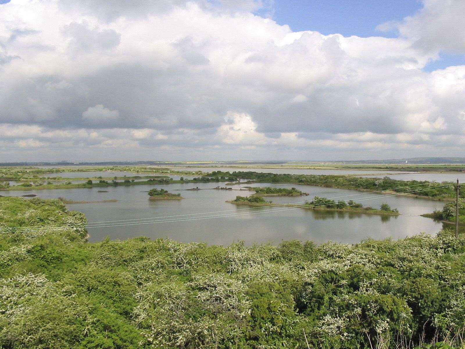 The team is searching the Cliffe Pools area. Picture: RSPB Images