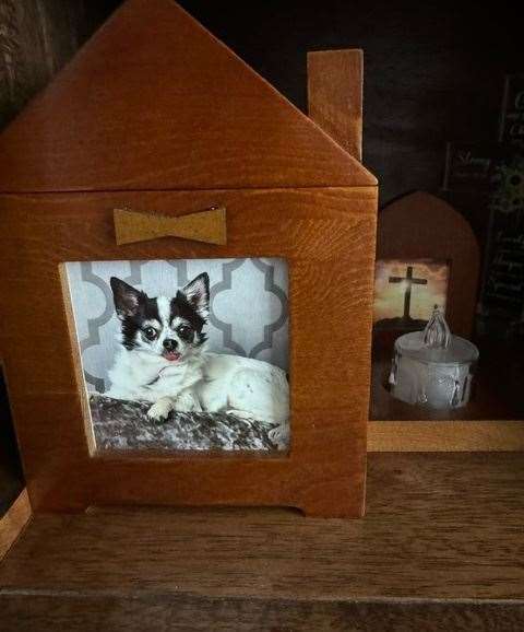 Cher's final resting place after she was killed. Picture: Maxine Parker-Gallagher