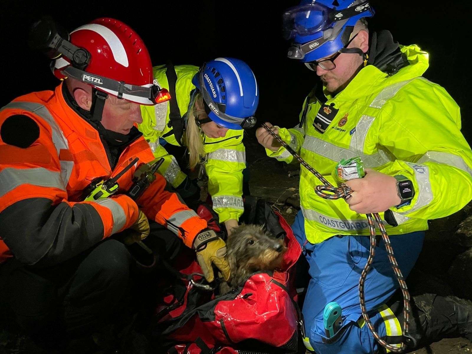 Rescue crews recovered Bear from the cliffside. Photo: KFRS