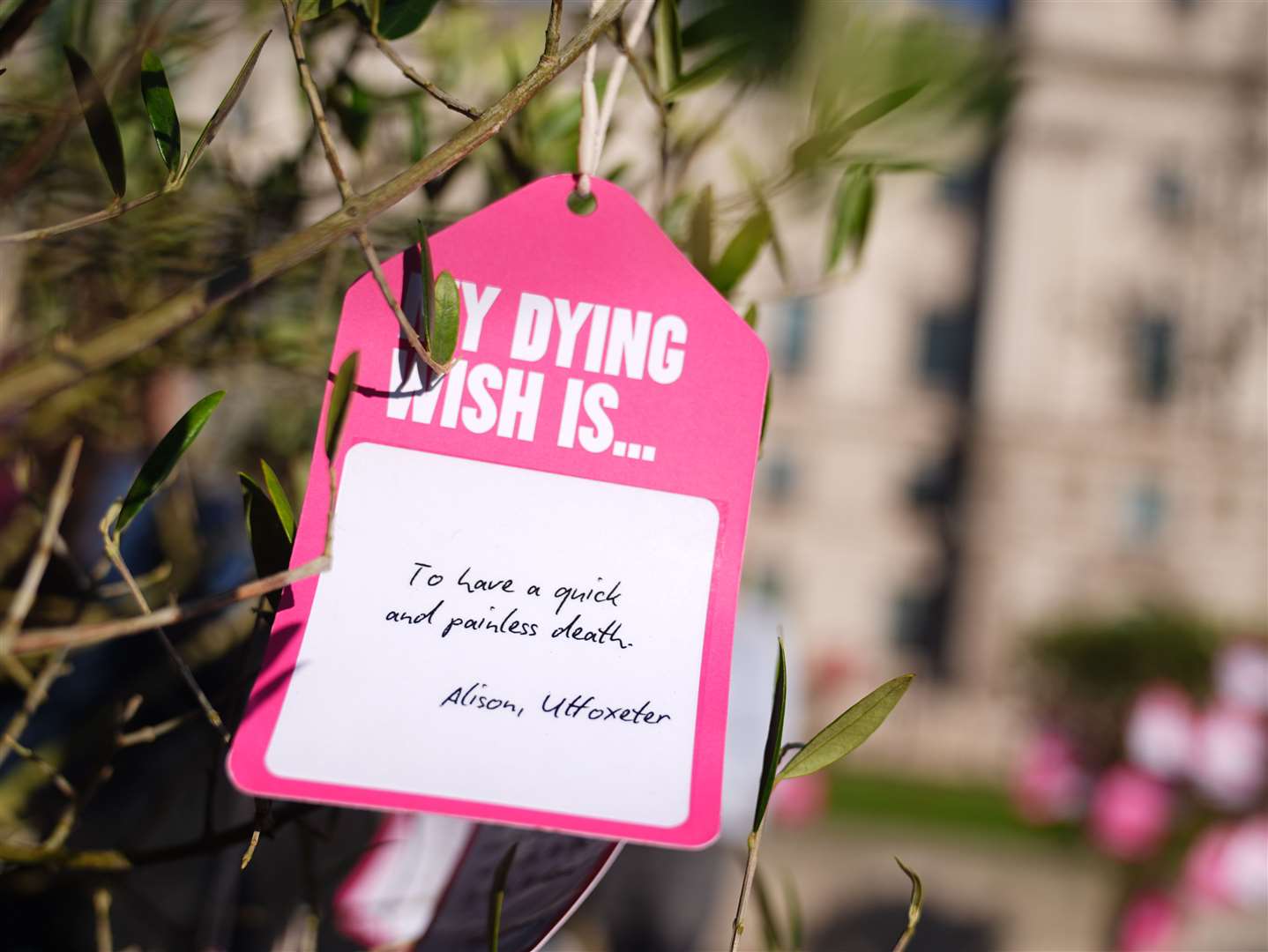 Hundreds of ‘dying wishes’ written by people across the country were attached to trees in Parliament Square as part of the Dignity in Dying campaign (James Manning/PA)