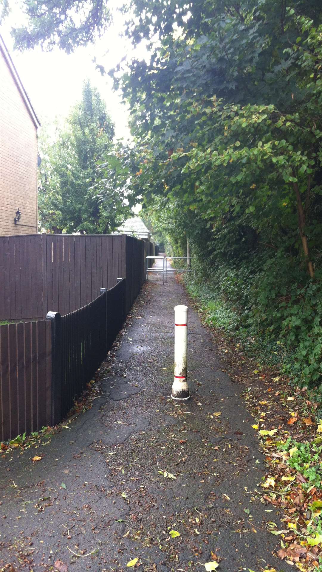 The alleyway, off Kingston Crescent, Chatham