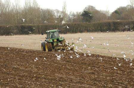 Thousands of homes could be built on farmland between Leeds and Langley