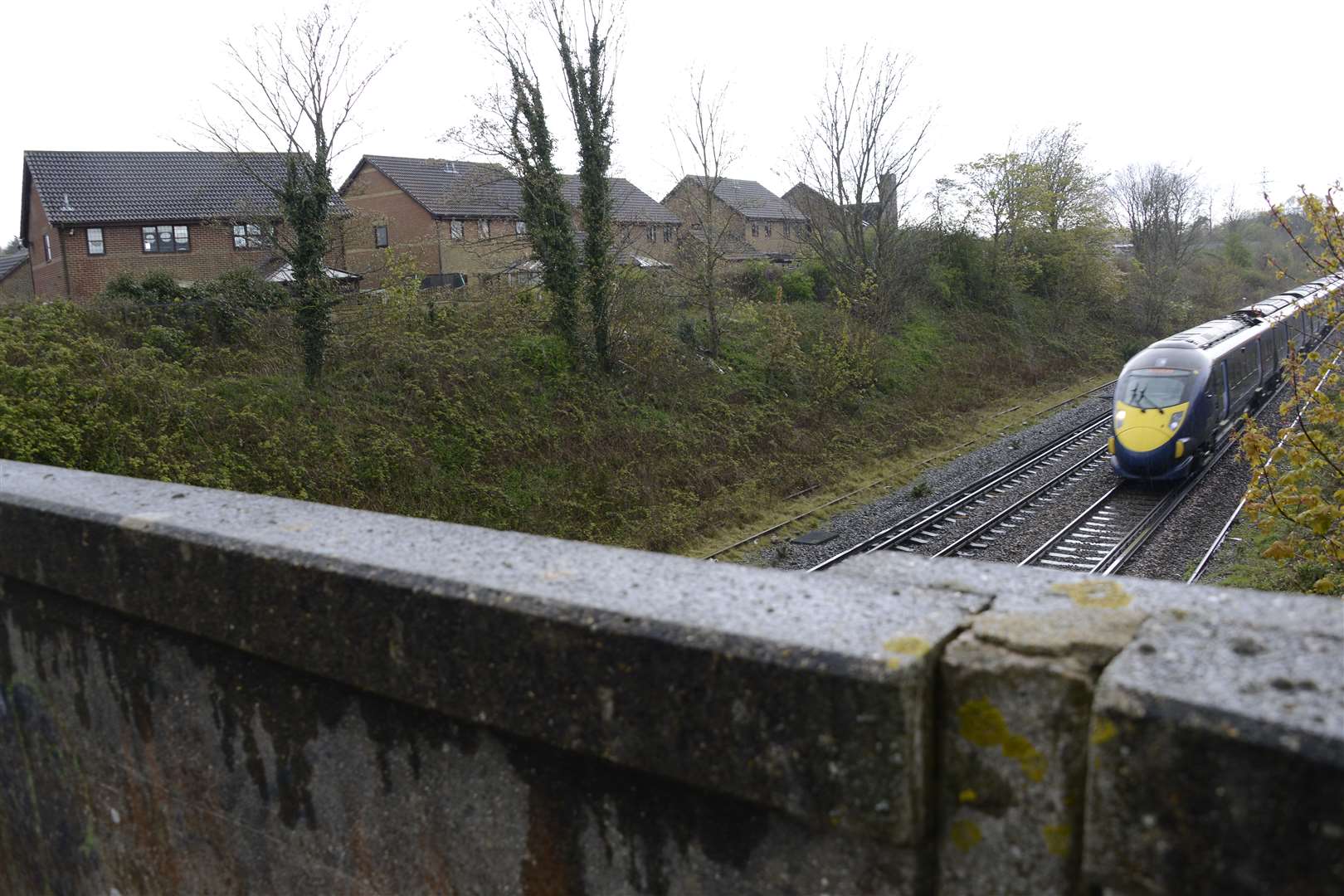 Services have been delayed after a train hit a shopping trolley