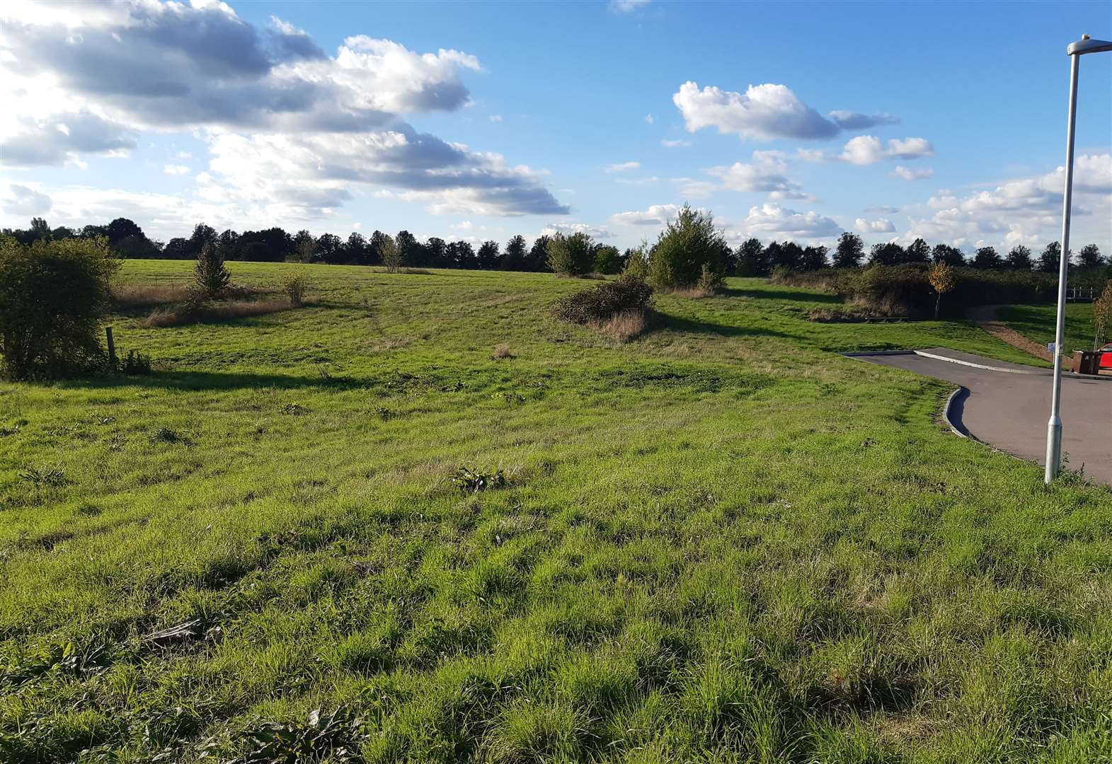 Part of the proposed Village Green at Bunyards Farm