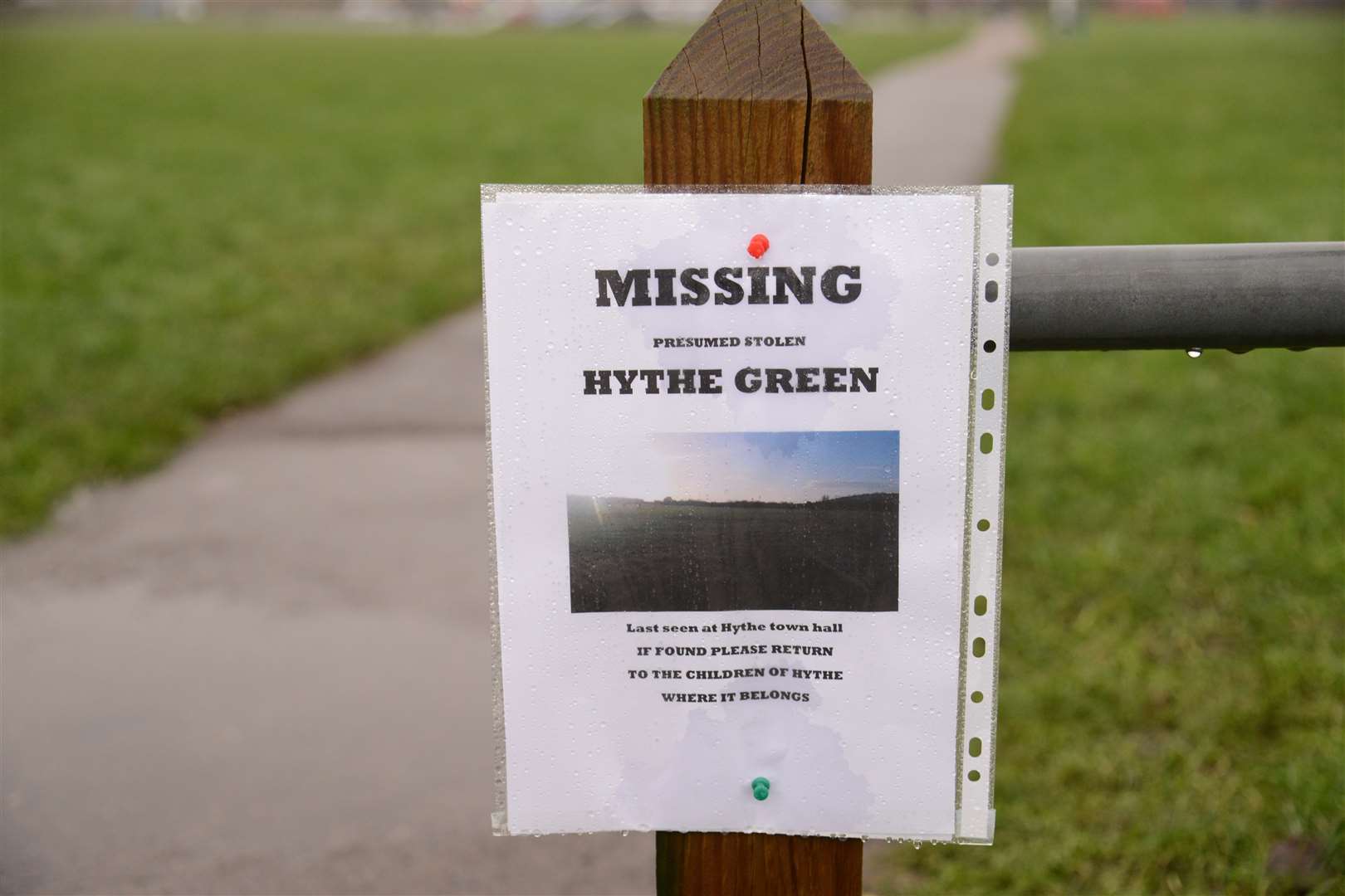 Missing posters for The Green have been posted around Hythe. Picture: Gary Browne