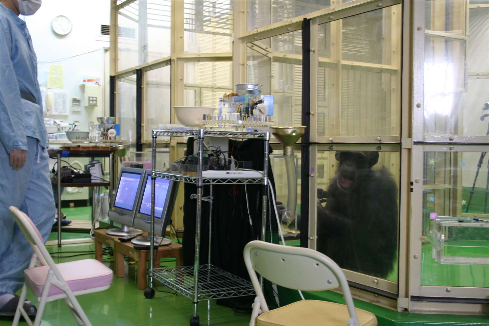 Touchscreen booths where chimps were given tasks to perform (Akiho Muramatsu/Kyoto University/PA)