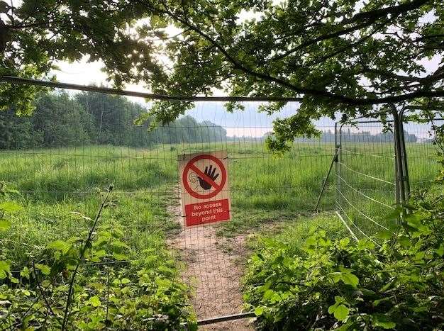 Construction on the pea fields in Barming will mean the loss of more land currently used for dog walking and exercise