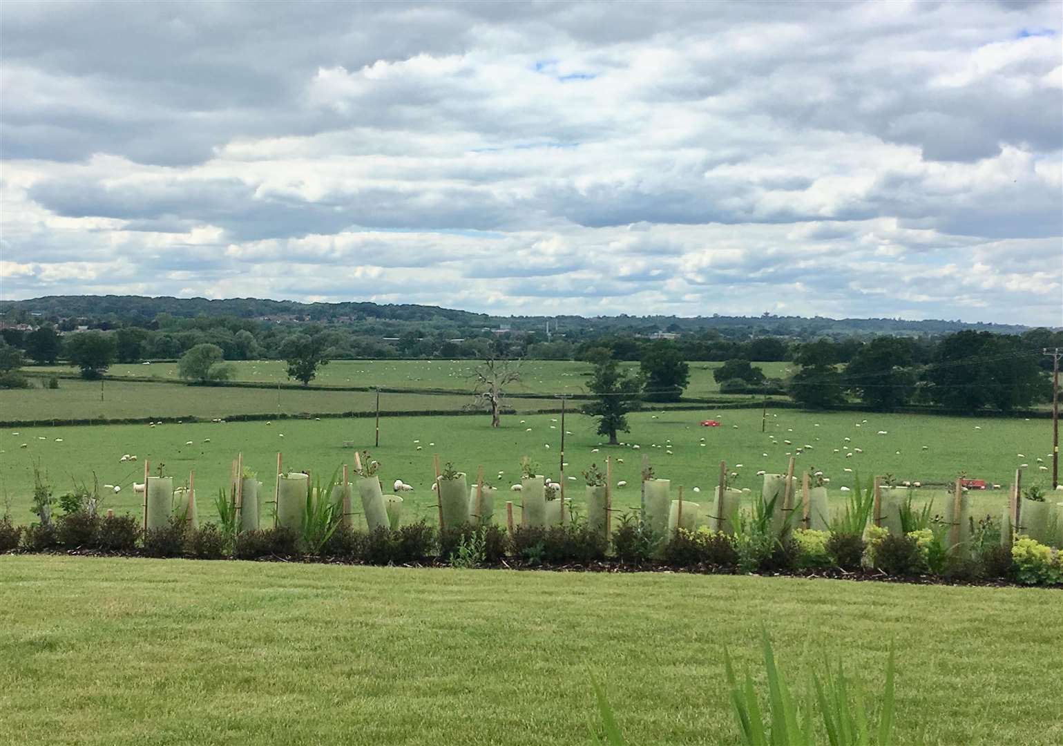 The view from the Arden Terrace