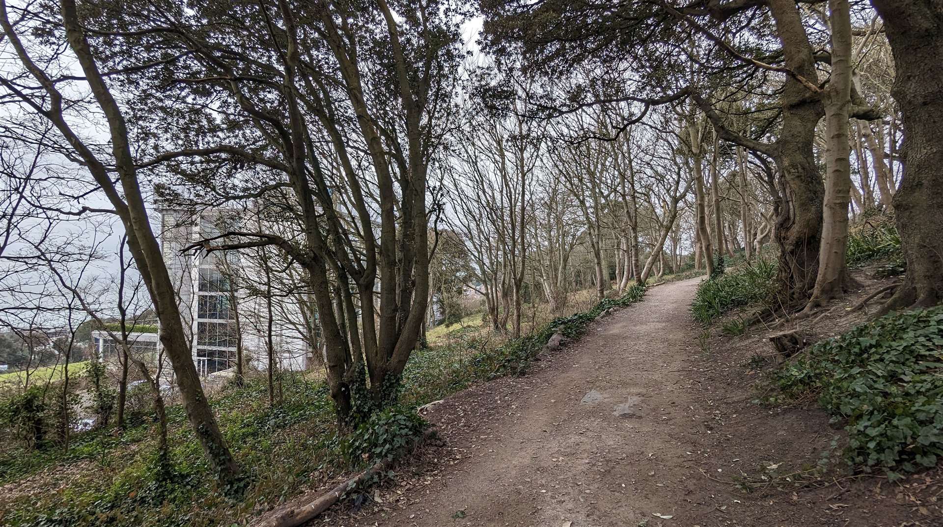 Public paths lead through the wooded hillside at Enbrook Park