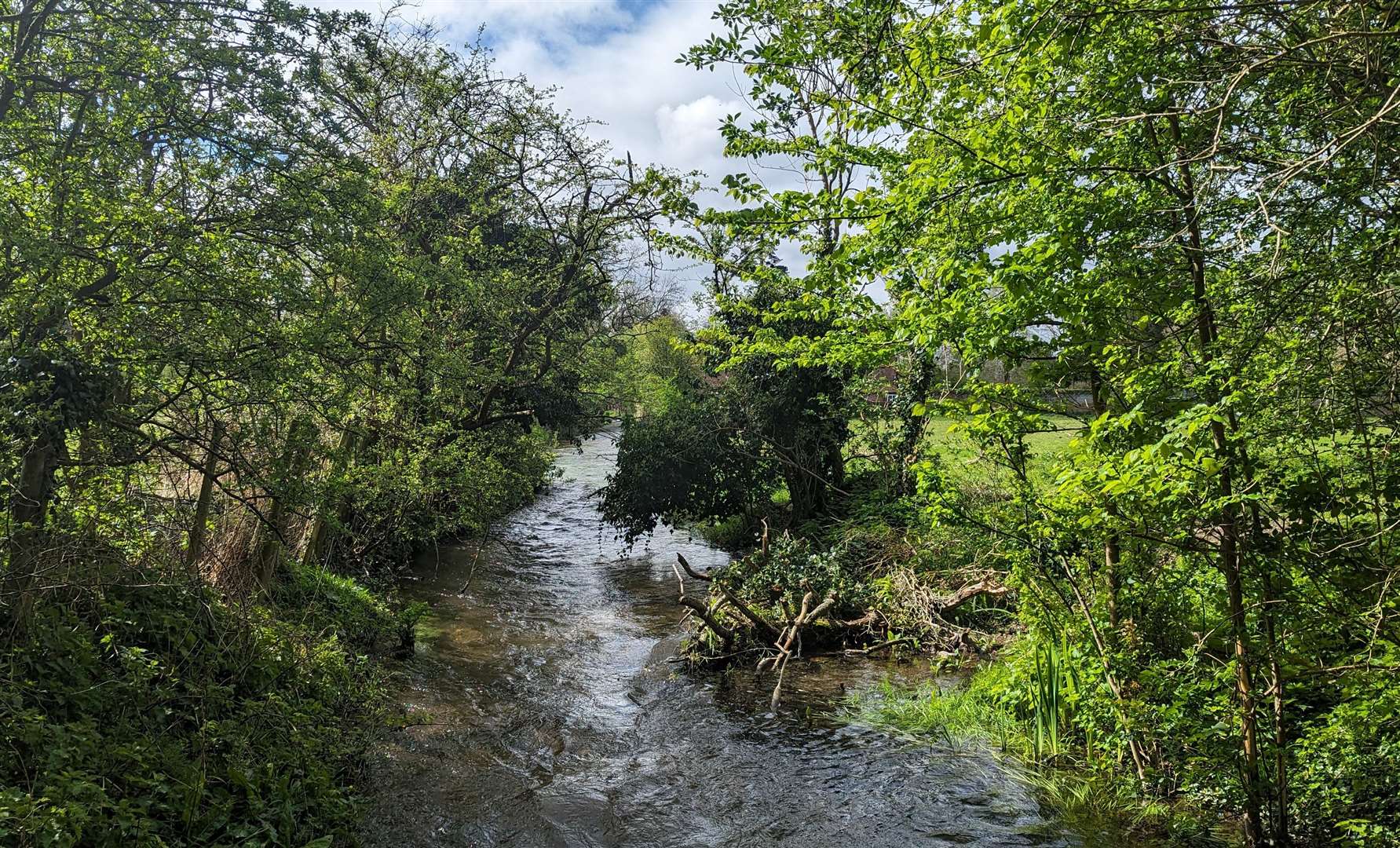 The Nailbourne chalk stream