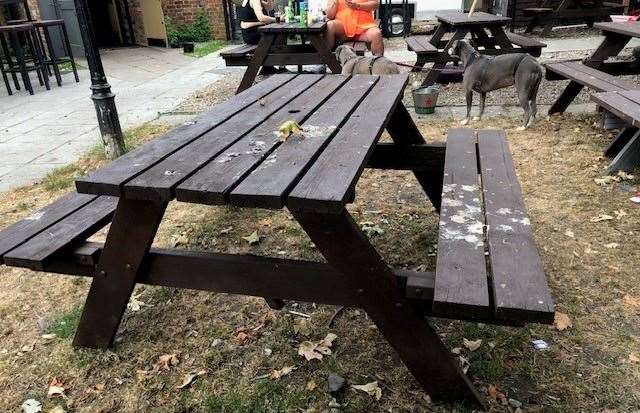 We decided to walk past this picnic table as it had already proved far too popular with passing birds and was badly in need of a wash down