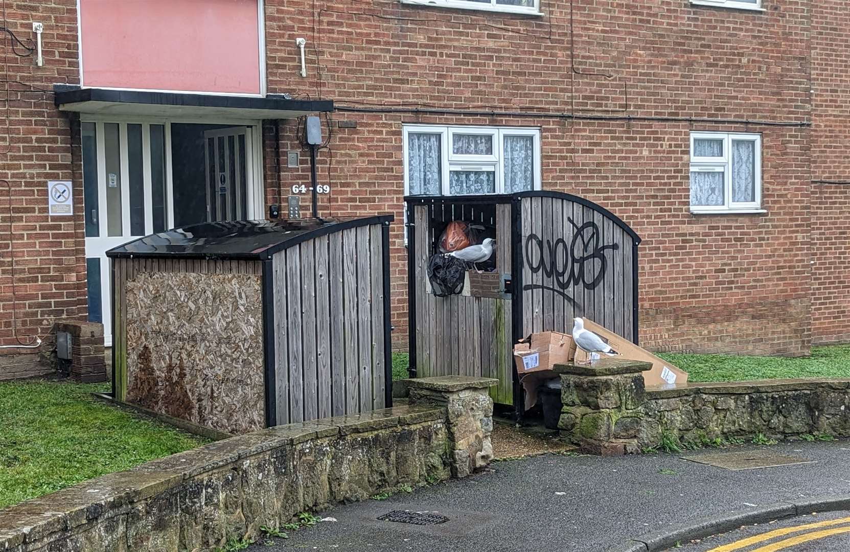 Full bins outside a block of flats are an attractive draw for seagulls