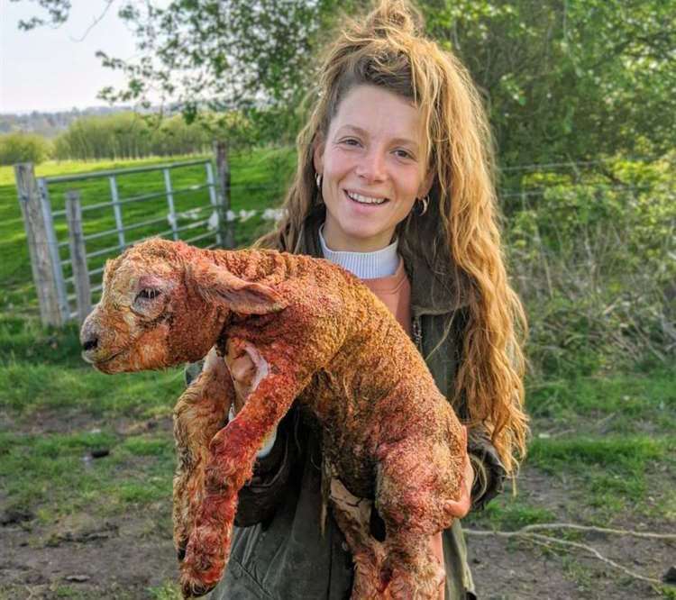 Zoe Colville with a lamb born only minutes before this photo was taken. Picture: Zoe Colville