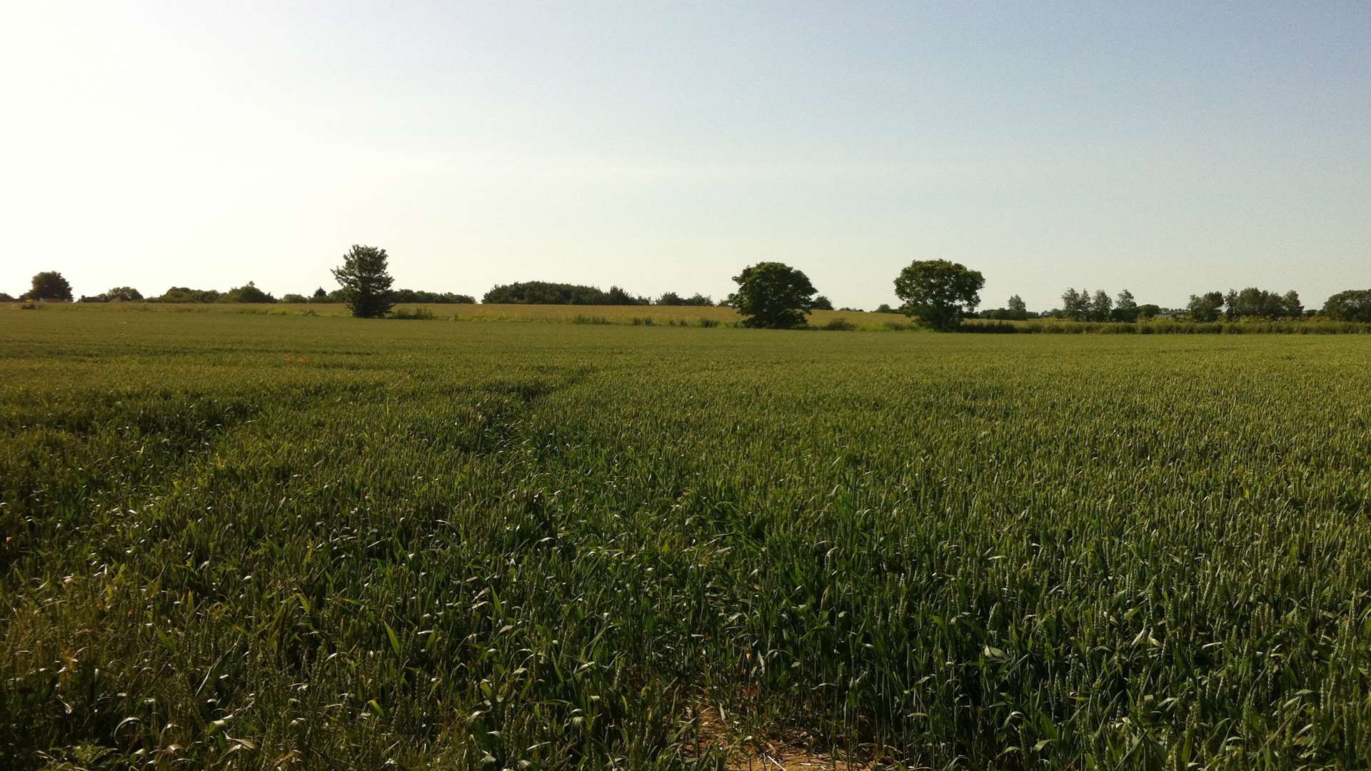 Perry Court Farm site, Faversham.