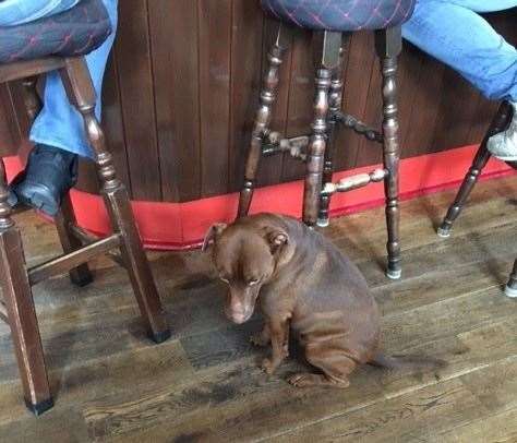 While a slightly more portly Gino, aged four, takes a seat between two regulars at the bar