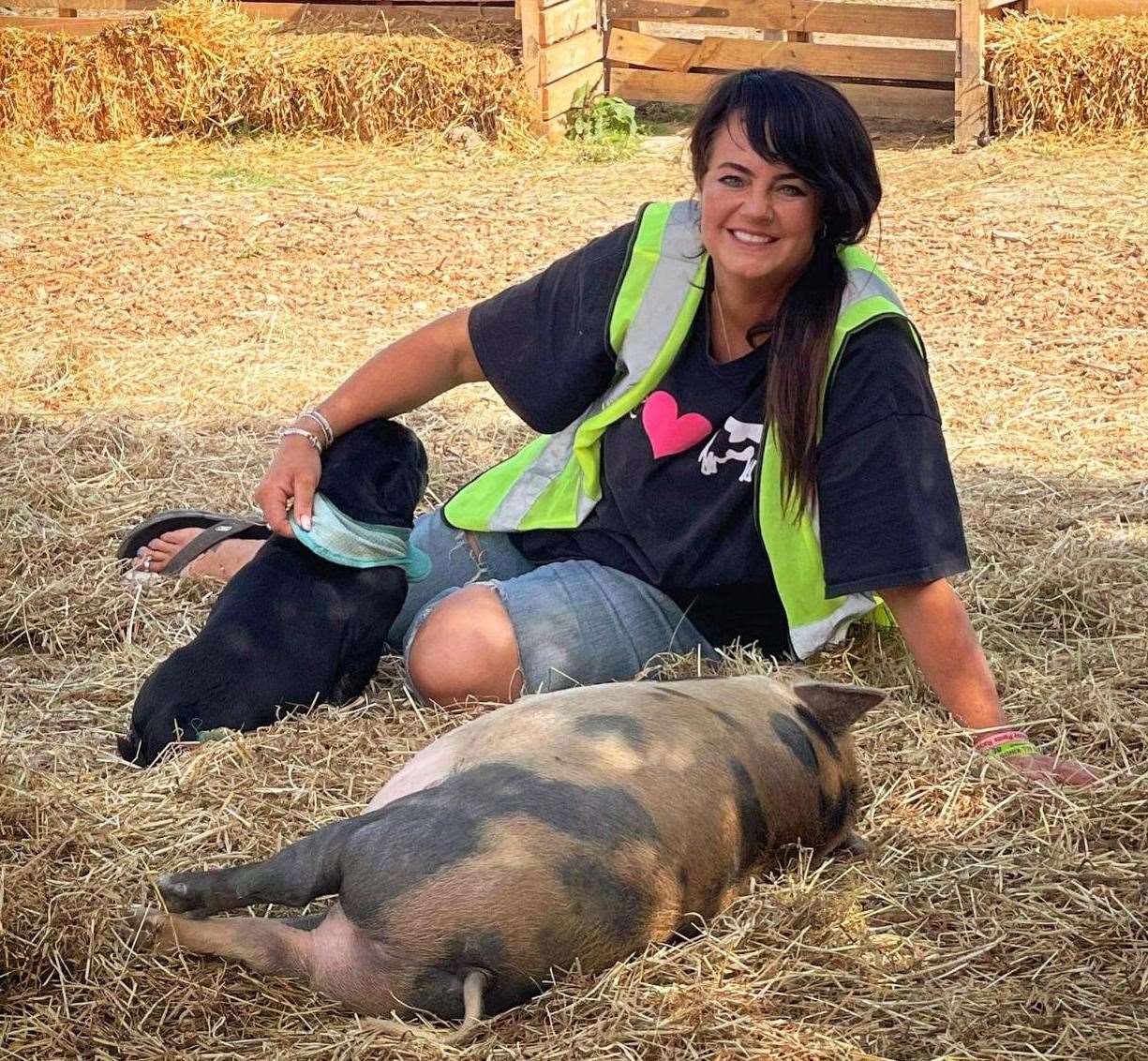 Amey says countryside animals making noise in the countryside is not an offence