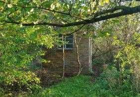 The building is largely hidden as the site has become overgrown