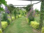 A view of Yalding Organic Gardens