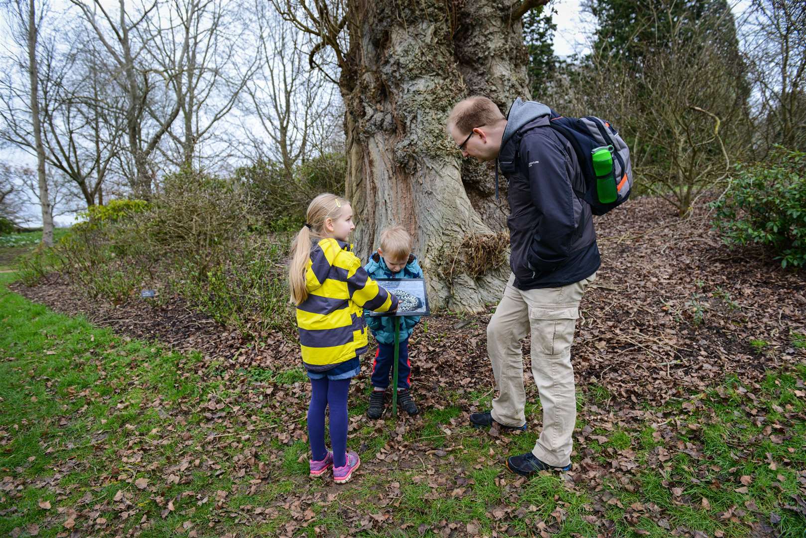 Get stuck into nature-themed activites in the castle grounds. Picture: Hever Castle and Gardens