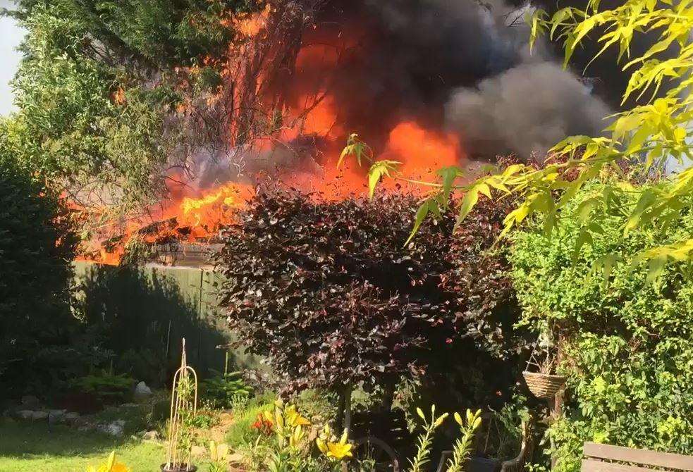 The inferno tore through trees and a shed yesterday. (2736314)