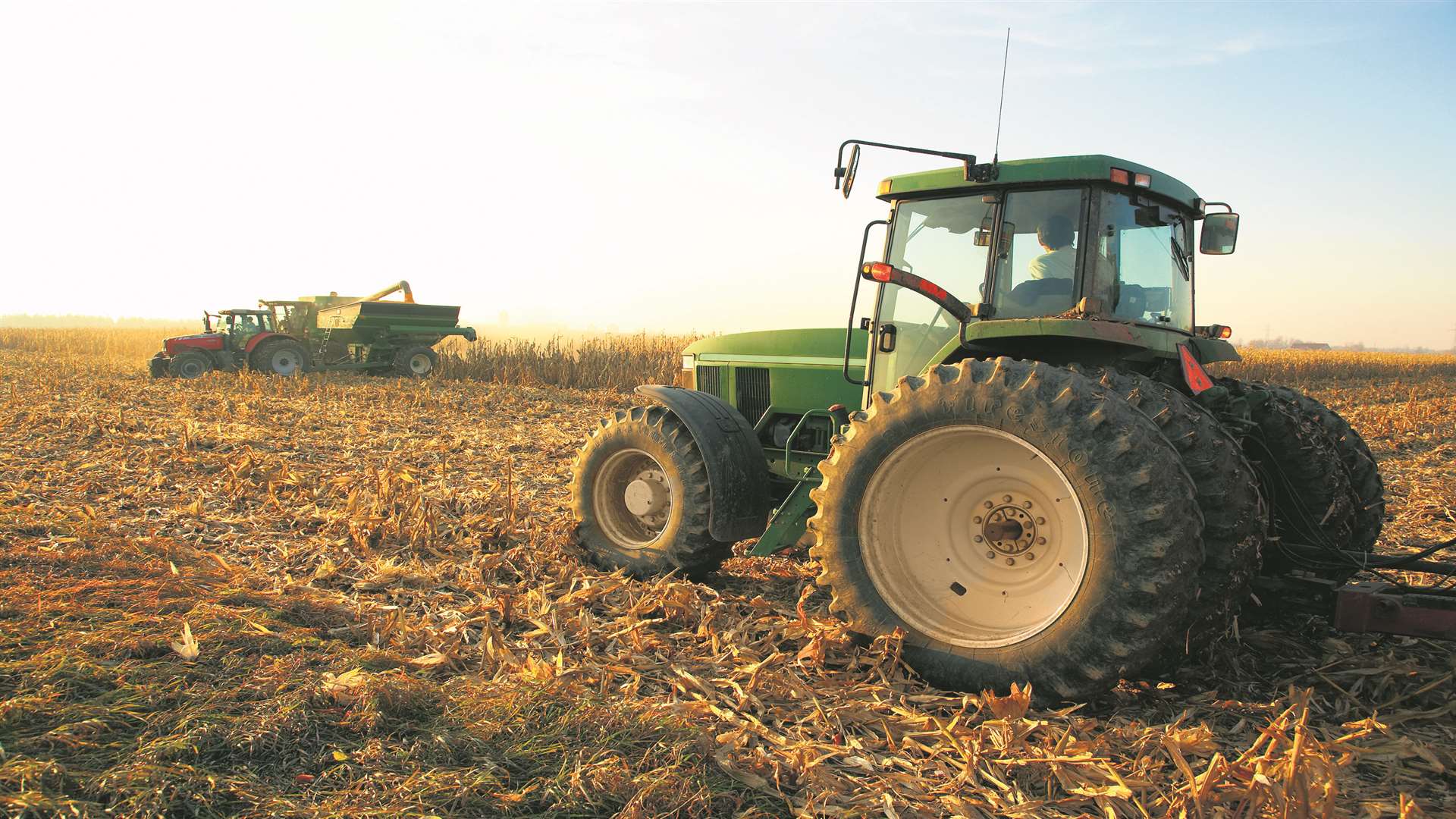 Agriculture is becoming a more sought after subject at colleges. Stock picture