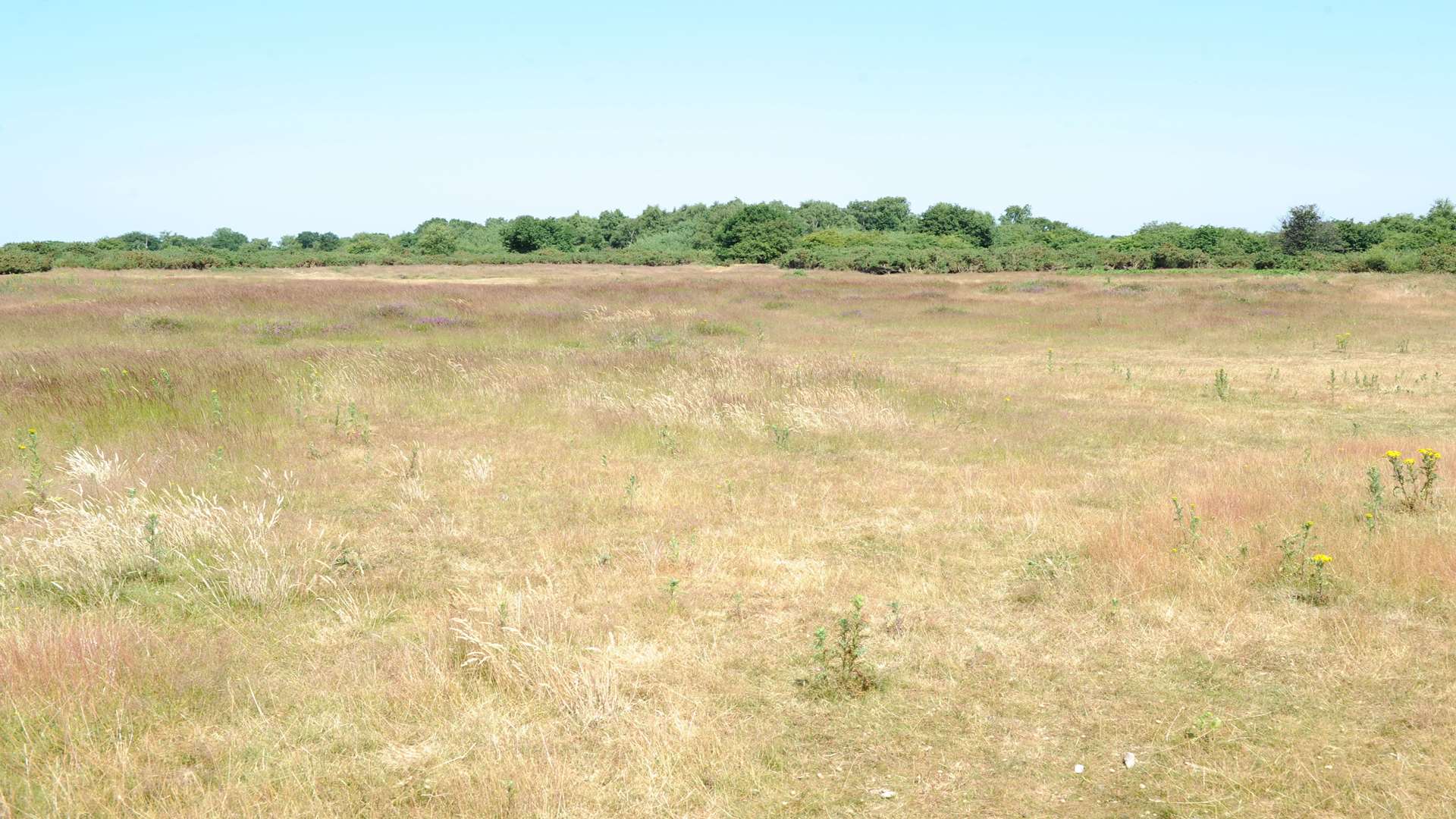 Dartford Heath, Heath Lane, Dartford. Picture: Simon Hildrew.