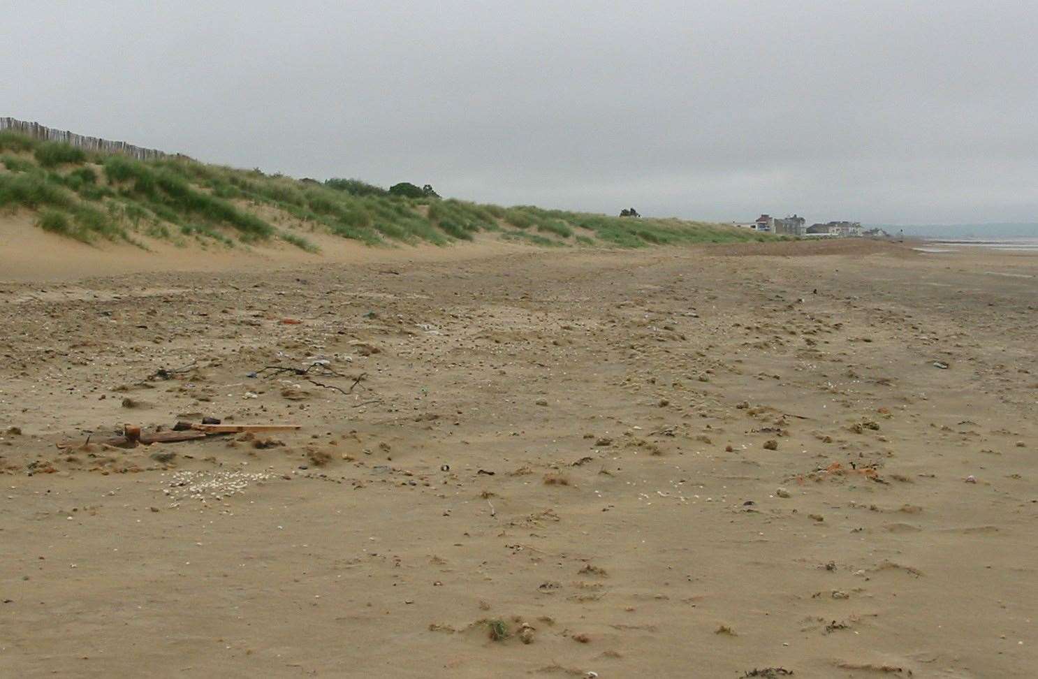 The suspected migrants reportedly arrived at Greatstone Beach