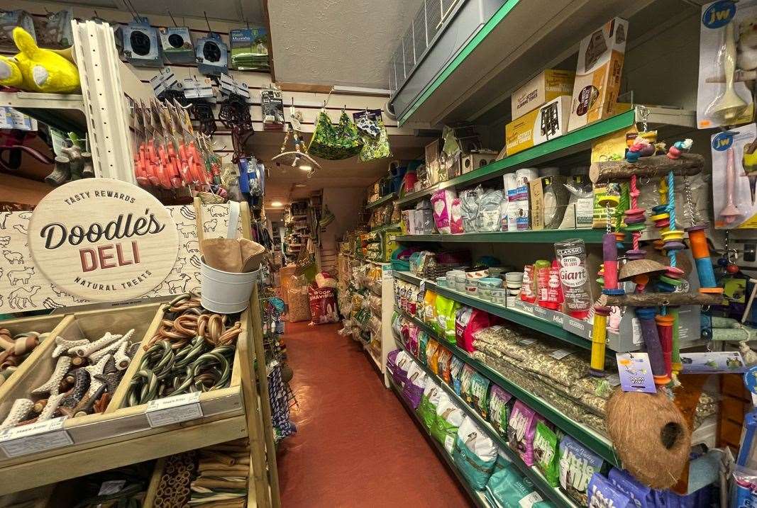 Inside the Pet Shop in Sittingbourne High Street