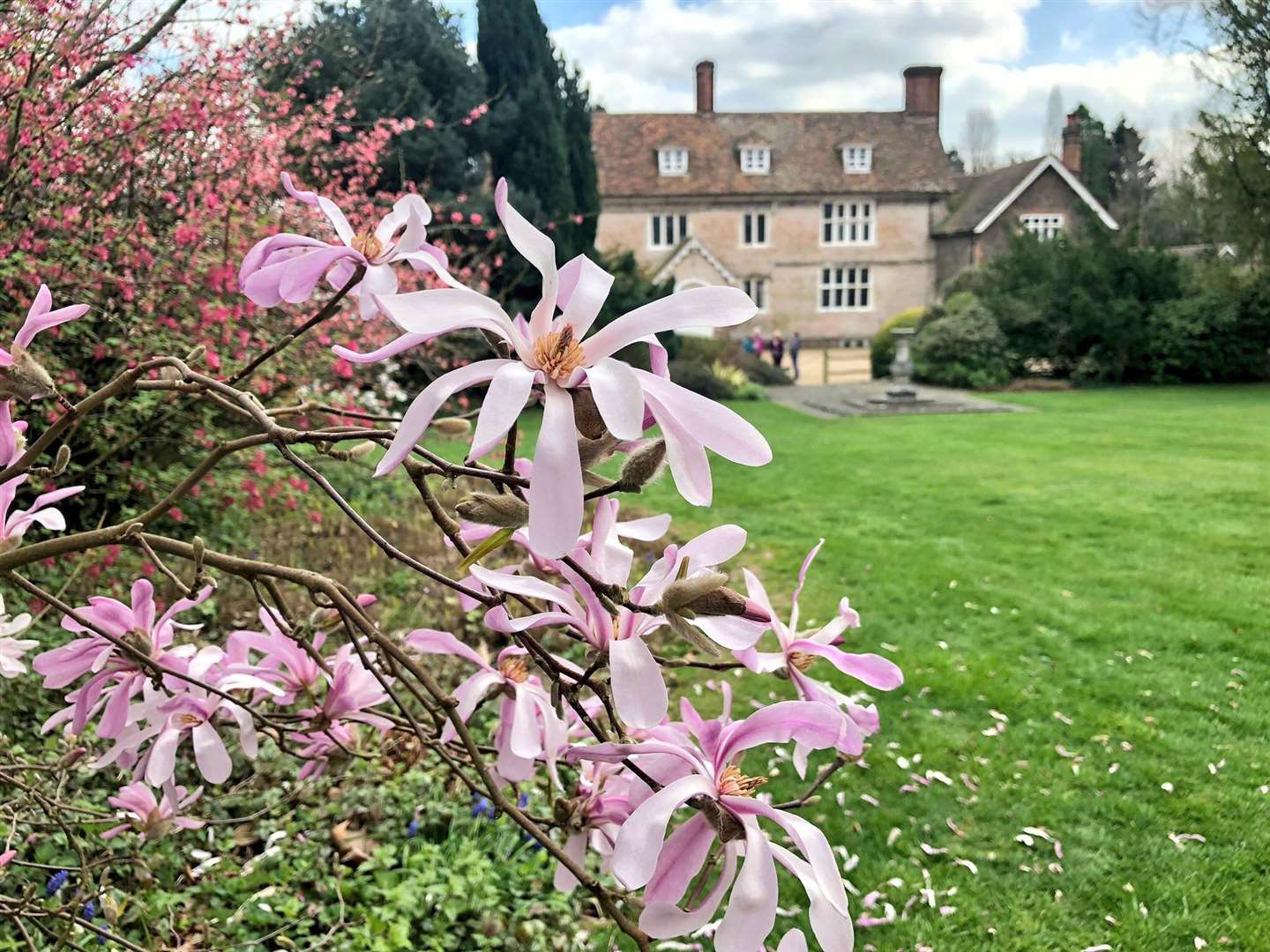 Great Comp Garden, Sevenoaks. Picture:National Garden Scheme